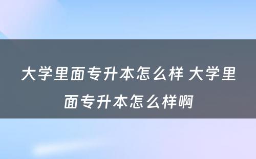 大学里面专升本怎么样 大学里面专升本怎么样啊