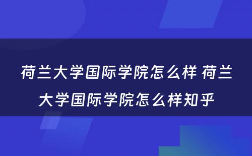 荷兰大学国际学院怎么样 荷兰大学国际学院怎么样知乎