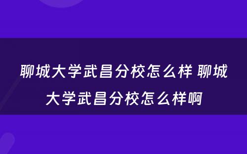 聊城大学武昌分校怎么样 聊城大学武昌分校怎么样啊