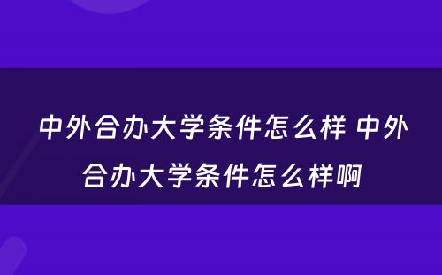 中外合办大学条件怎么样 中外合办大学条件怎么样啊