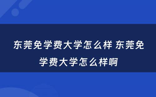 东莞免学费大学怎么样 东莞免学费大学怎么样啊