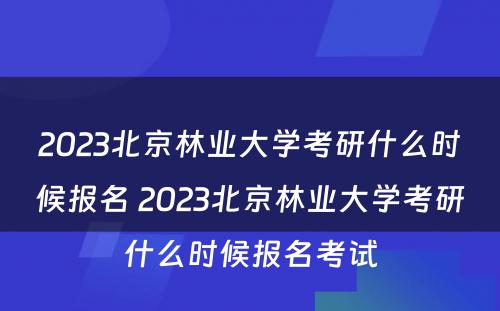 2023北京林业大学考研什么时候报名 2023北京林业大学考研什么时候报名考试