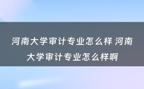 河南大学审计专业怎么样 河南大学审计专业怎么样啊