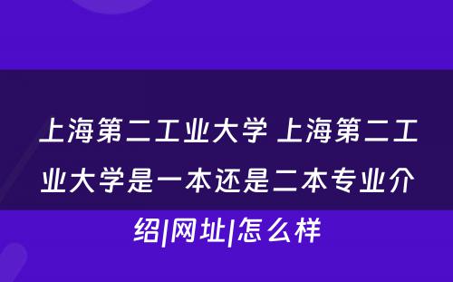 上海第二工业大学 上海第二工业大学是一本还是二本专业介绍|网址|怎么样