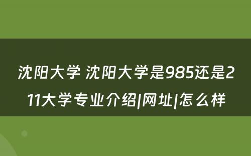 沈阳大学 沈阳大学是985还是211大学专业介绍|网址|怎么样