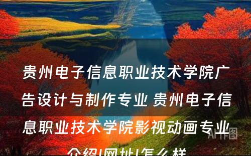 贵州电子信息职业技术学院广告设计与制作专业 贵州电子信息职业技术学院影视动画专业介绍|网址|怎么样