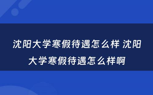 沈阳大学寒假待遇怎么样 沈阳大学寒假待遇怎么样啊