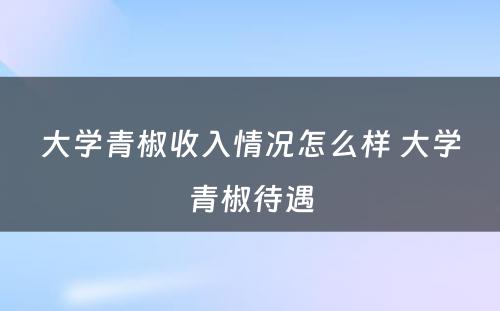 大学青椒收入情况怎么样 大学青椒待遇