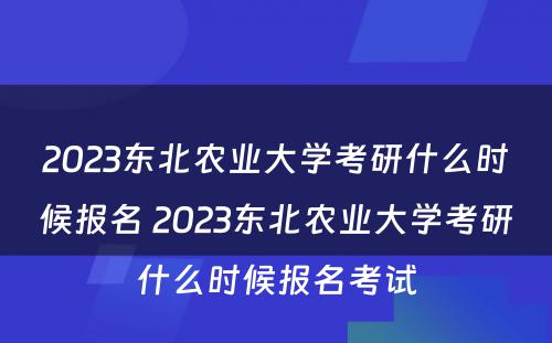 2023东北农业大学考研什么时候报名 2023东北农业大学考研什么时候报名考试