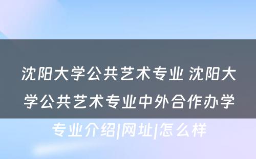 沈阳大学公共艺术专业 沈阳大学公共艺术专业中外合作办学专业介绍|网址|怎么样