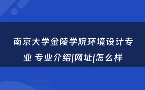 南京大学金陵学院环境设计专业 专业介绍|网址|怎么样