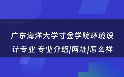 广东海洋大学寸金学院环境设计专业 专业介绍|网址|怎么样