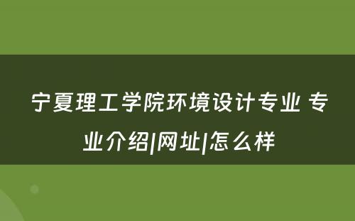 宁夏理工学院环境设计专业 专业介绍|网址|怎么样