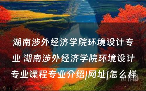 湖南涉外经济学院环境设计专业 湖南涉外经济学院环境设计专业课程专业介绍|网址|怎么样