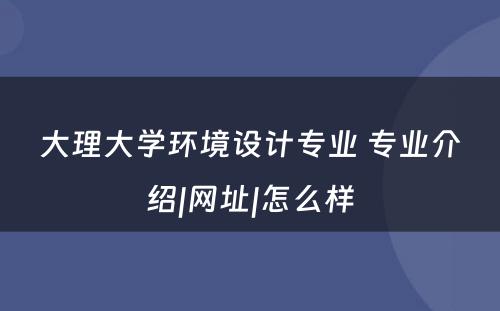 大理大学环境设计专业 专业介绍|网址|怎么样