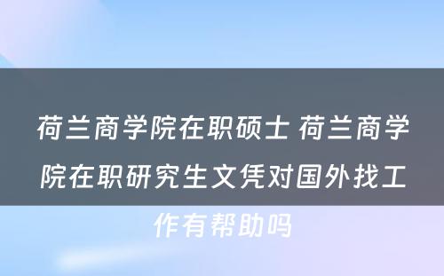 荷兰商学院在职硕士 荷兰商学院在职研究生文凭对国外找工作有帮助吗