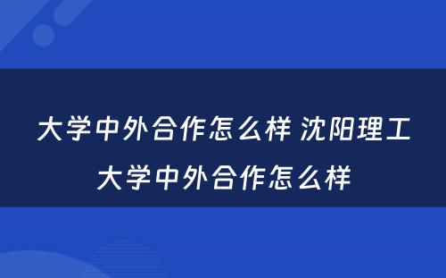 大学中外合作怎么样 沈阳理工大学中外合作怎么样