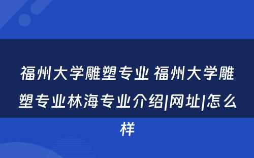 福州大学雕塑专业 福州大学雕塑专业林海专业介绍|网址|怎么样