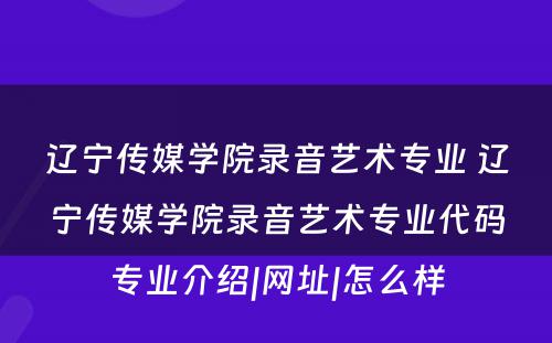 辽宁传媒学院录音艺术专业 辽宁传媒学院录音艺术专业代码专业介绍|网址|怎么样