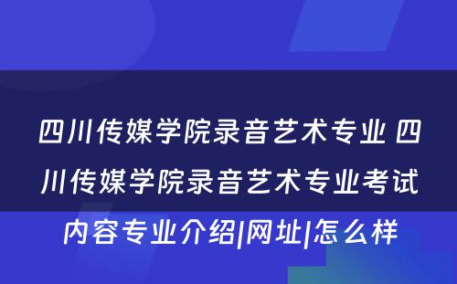 四川传媒学院录音艺术专业 四川传媒学院录音艺术专业考试内容专业介绍|网址|怎么样