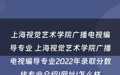 上海视觉艺术学院广播电视编导专业 上海视觉艺术学院广播电视编导专业2022年录取分数线专业介绍|网址|怎么样