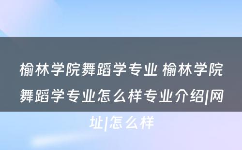 榆林学院舞蹈学专业 榆林学院舞蹈学专业怎么样专业介绍|网址|怎么样