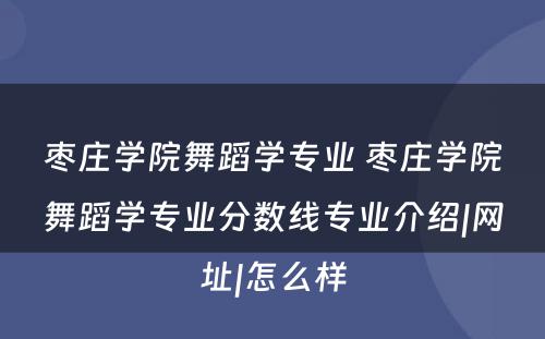 枣庄学院舞蹈学专业 枣庄学院舞蹈学专业分数线专业介绍|网址|怎么样