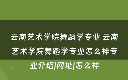 云南艺术学院舞蹈学专业 云南艺术学院舞蹈学专业怎么样专业介绍|网址|怎么样