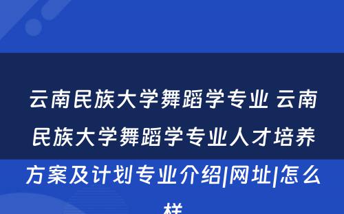 云南民族大学舞蹈学专业 云南民族大学舞蹈学专业人才培养方案及计划专业介绍|网址|怎么样