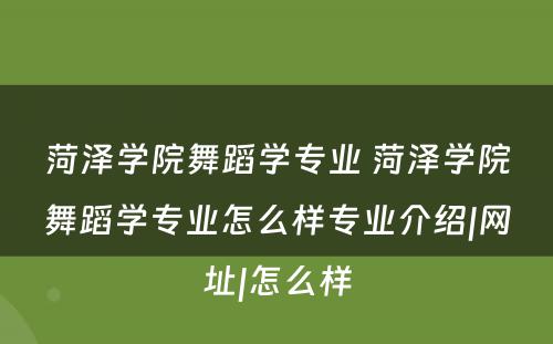 菏泽学院舞蹈学专业 菏泽学院舞蹈学专业怎么样专业介绍|网址|怎么样