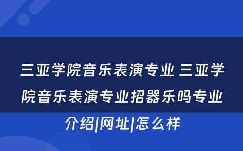 三亚学院音乐表演专业 三亚学院音乐表演专业招器乐吗专业介绍|网址|怎么样