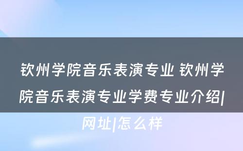 钦州学院音乐表演专业 钦州学院音乐表演专业学费专业介绍|网址|怎么样