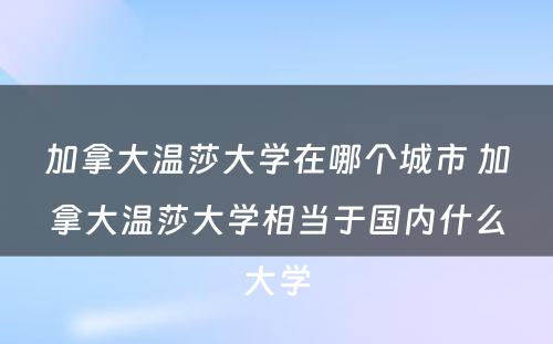 加拿大温莎大学在哪个城市 加拿大温莎大学相当于国内什么大学