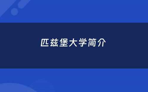 匹兹堡大学简介 