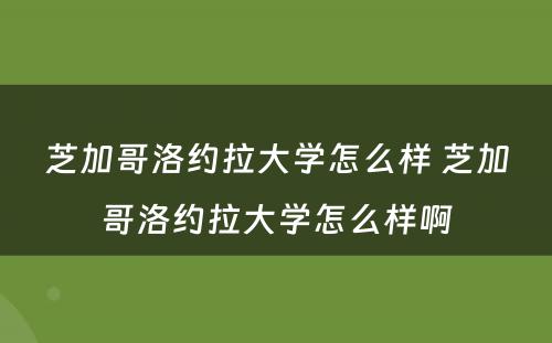 芝加哥洛约拉大学怎么样 芝加哥洛约拉大学怎么样啊