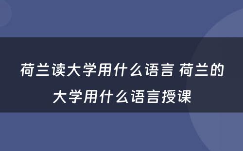 荷兰读大学用什么语言 荷兰的大学用什么语言授课