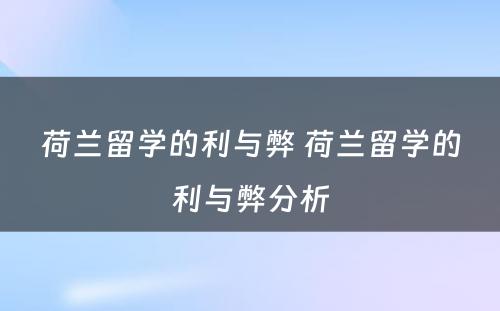 荷兰留学的利与弊 荷兰留学的利与弊分析