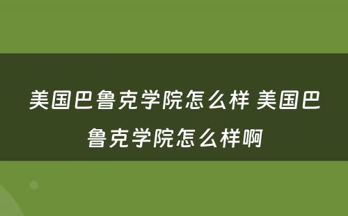 美国巴鲁克学院怎么样 美国巴鲁克学院怎么样啊