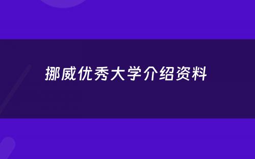 挪威优秀大学介绍资料 