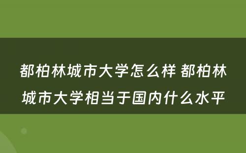 都柏林城市大学怎么样 都柏林城市大学相当于国内什么水平