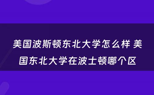 美国波斯顿东北大学怎么样 美国东北大学在波士顿哪个区