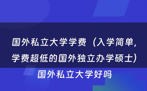 国外私立大学学费（入学简单，学费超低的国外独立办学硕士） 国外私立大学好吗