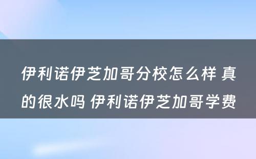 伊利诺伊芝加哥分校怎么样 真的很水吗 伊利诺伊芝加哥学费