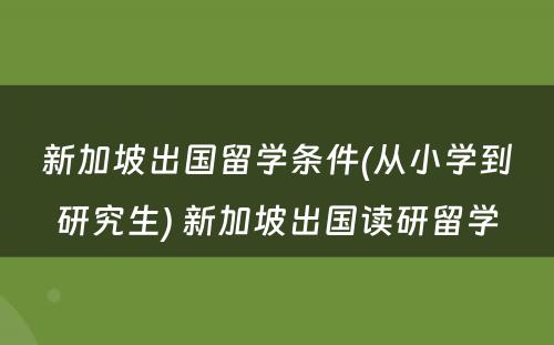 新加坡出国留学条件(从小学到研究生) 新加坡出国读研留学