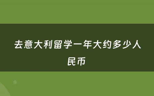 去意大利留学一年大约多少人民币 