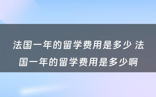 法国一年的留学费用是多少 法国一年的留学费用是多少啊