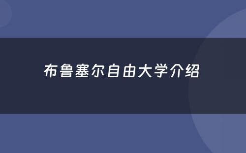 布鲁塞尔自由大学介绍 