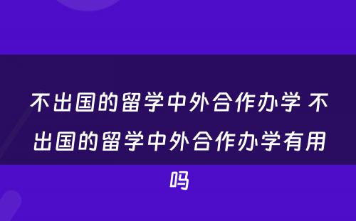 不出国的留学中外合作办学 不出国的留学中外合作办学有用吗