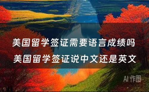 美国留学签证需要语言成绩吗 美国留学签证说中文还是英文