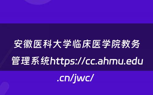 安徽医科大学临床医学院教务管理系统https://cc.ahmu.edu.cn/jwc/ 